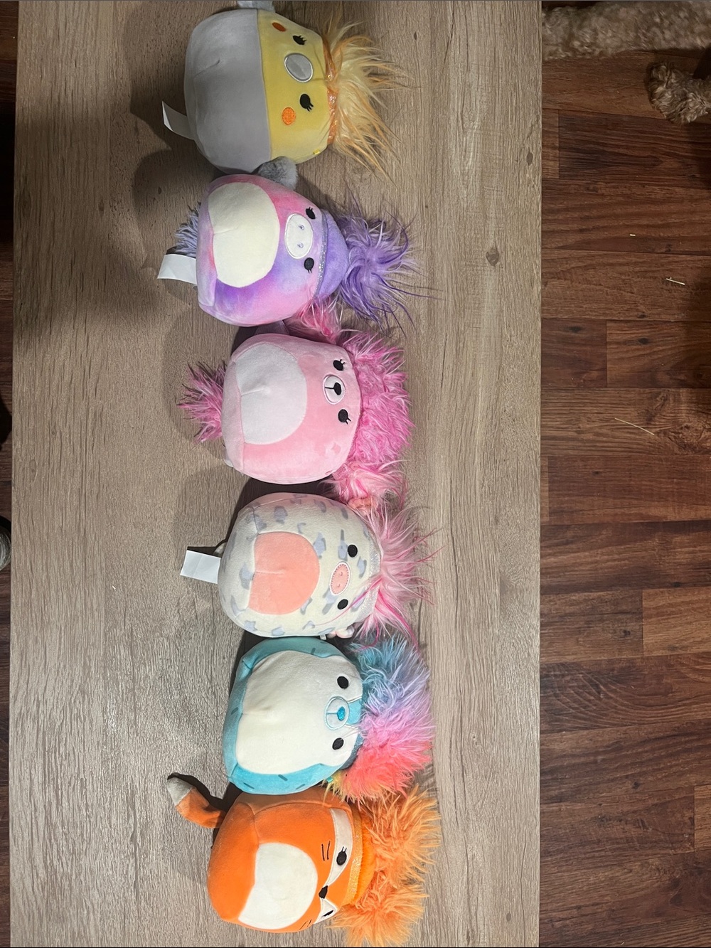 Squishmallows Multicolor Plush Bundle - Yellow, Purple, Pink, Orange, Blue